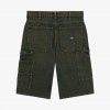 Dickies Loose Denim Painter