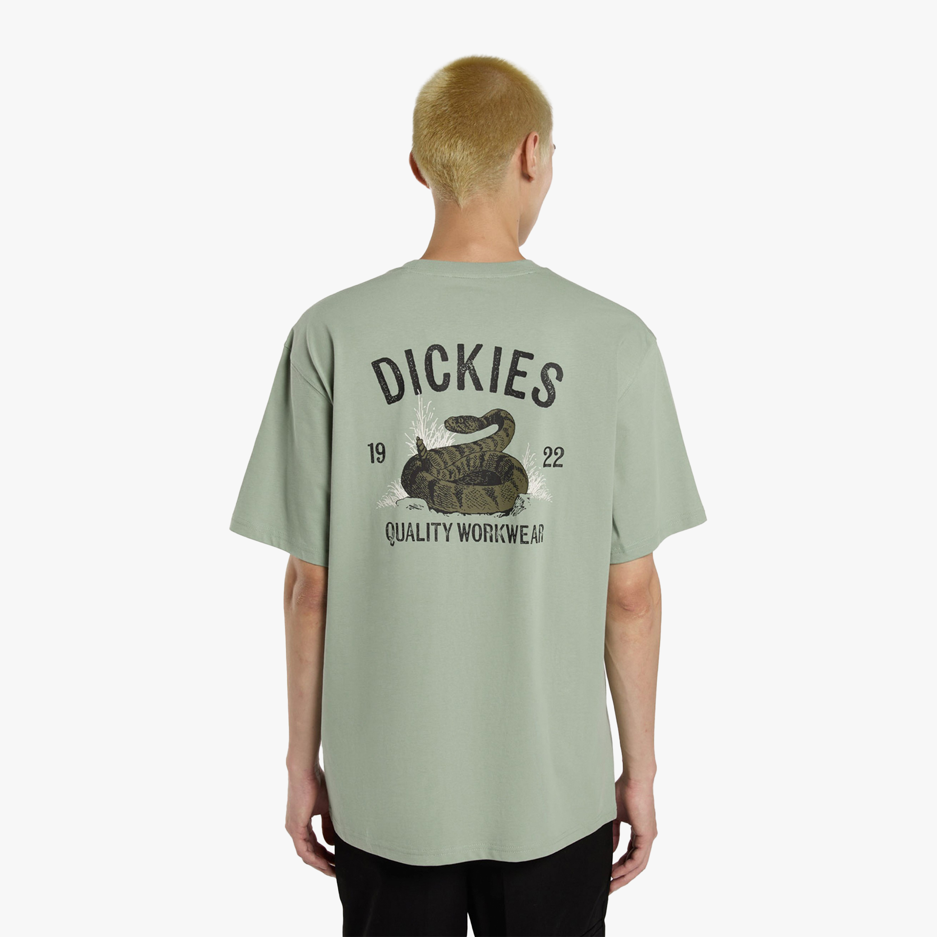 Dickies Snake SS