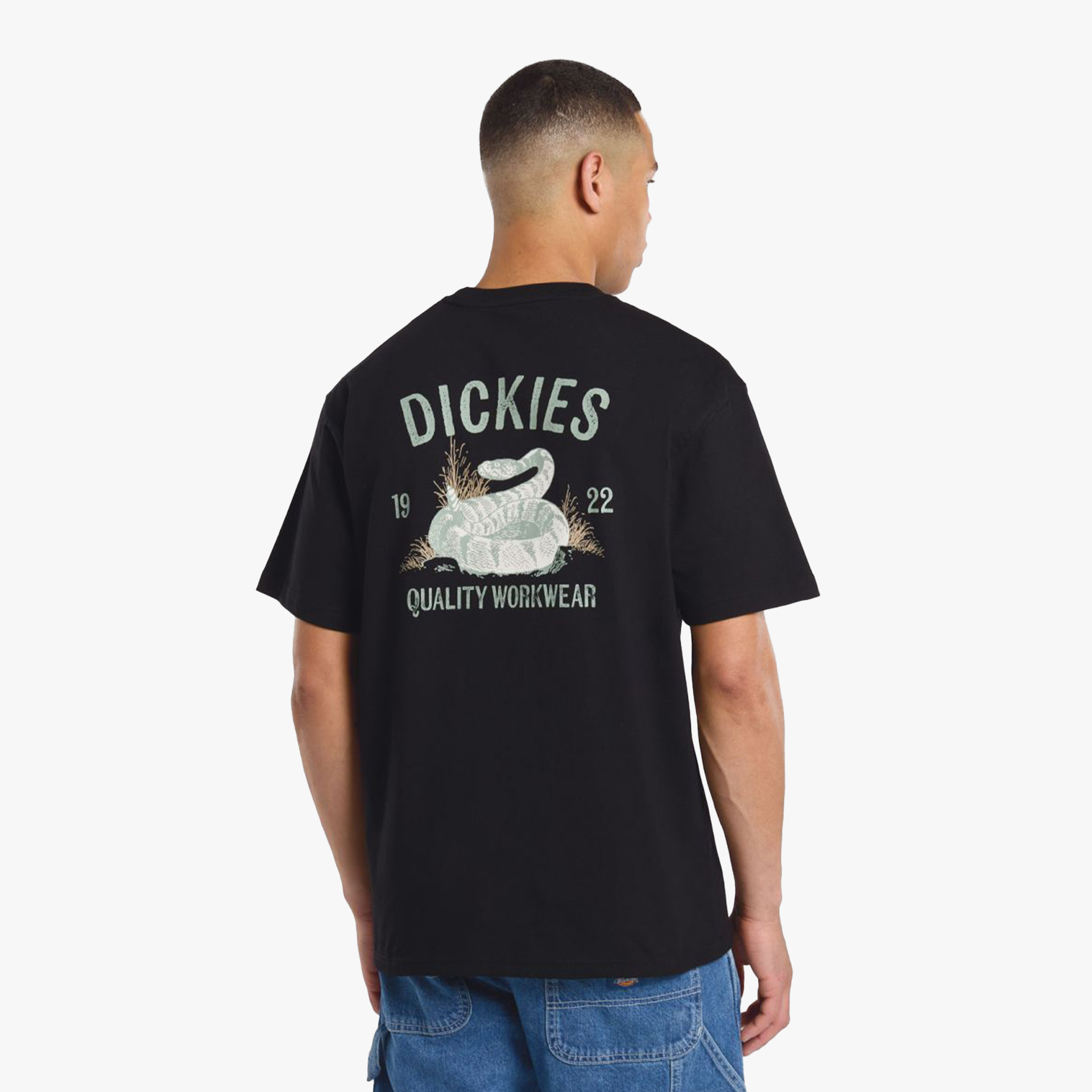 Dickies Snake SS