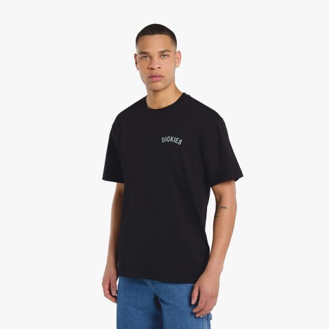 Dickies Snake SS