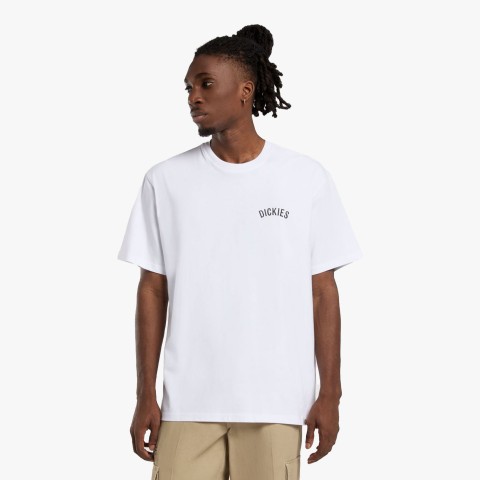 Dickies Snake SS