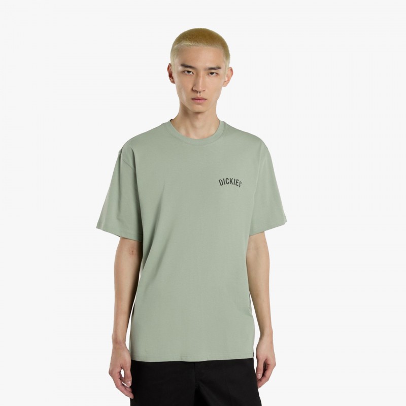 Dickies Snake SS - DK0A4Z99 K36 - Fuxia, Urban Tribes United