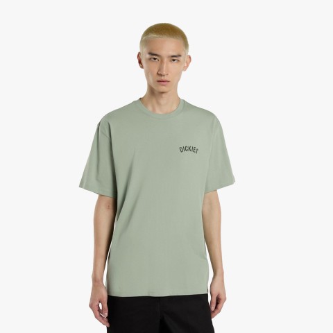 Dickies Snake SS