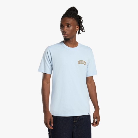 Dickies Aitkin Chest