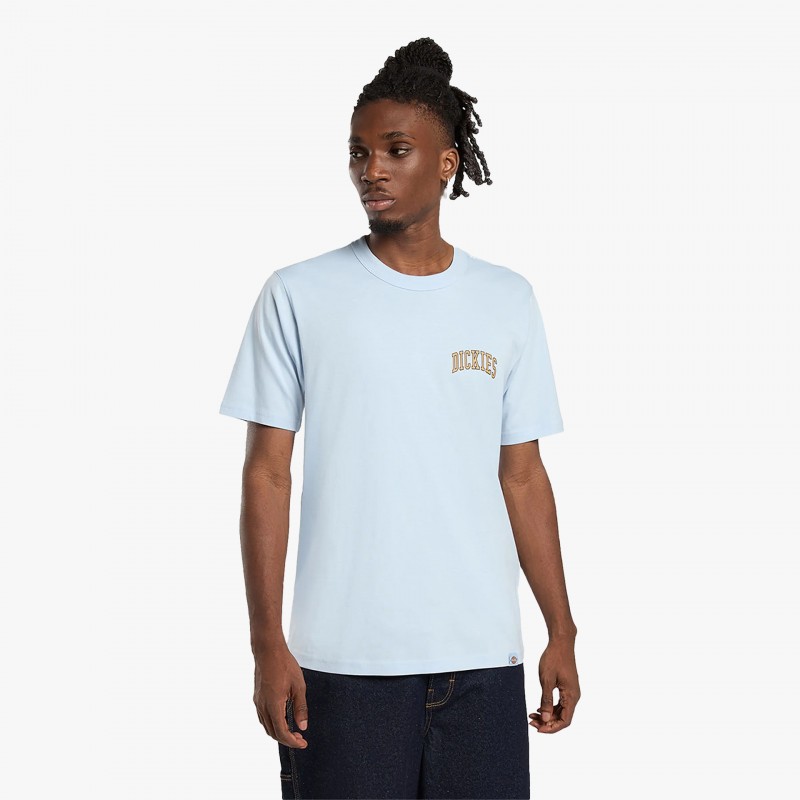 Dickies Aitkin Chest - DK0A4Y8O K54 - Fuxia, Urban Tribes United