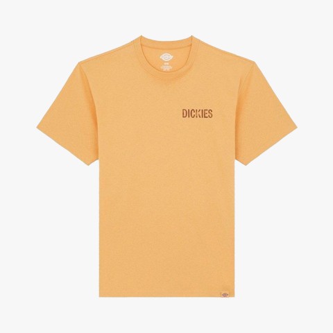 Dickies Companion SS