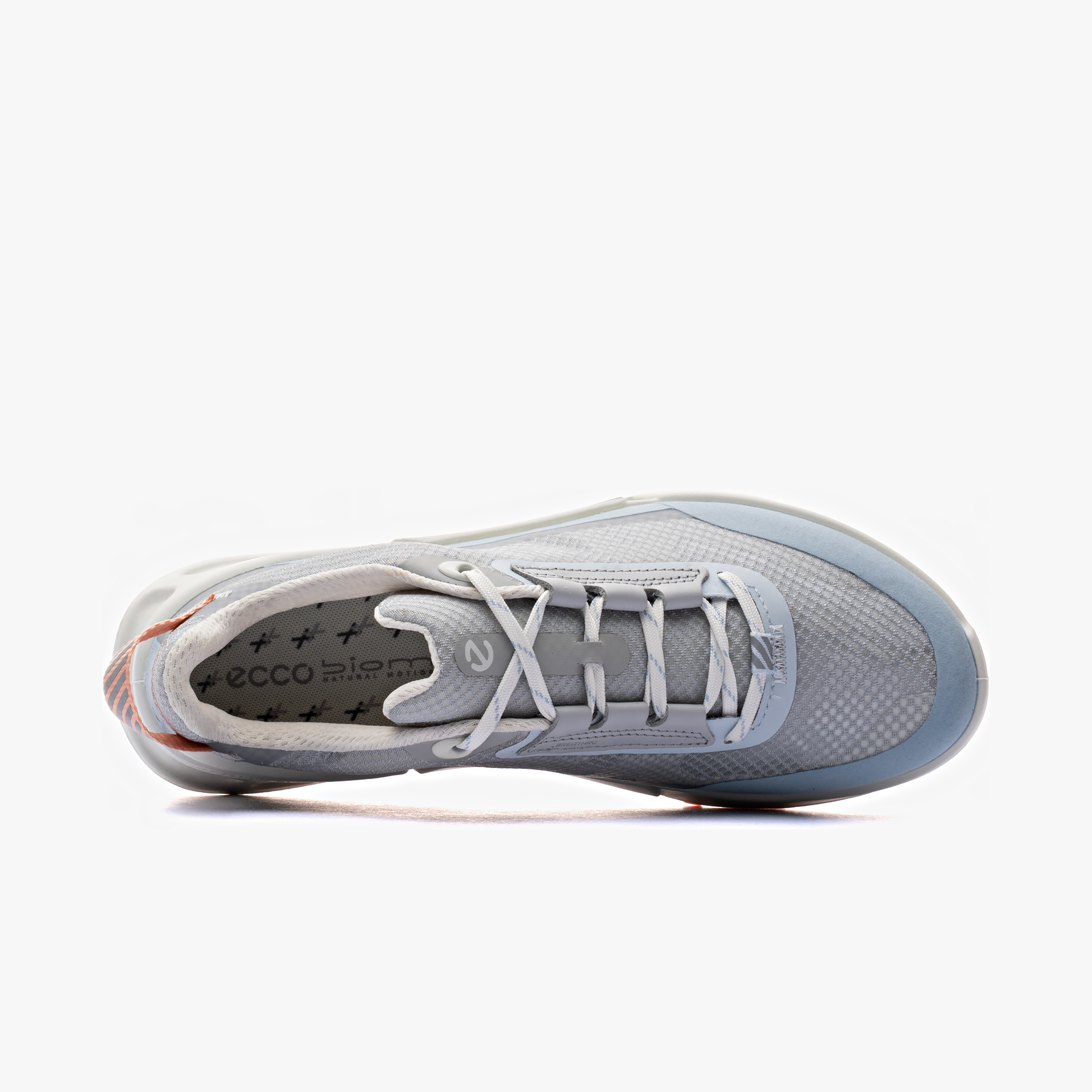 ECCO Biom 2.1 X MTN Low