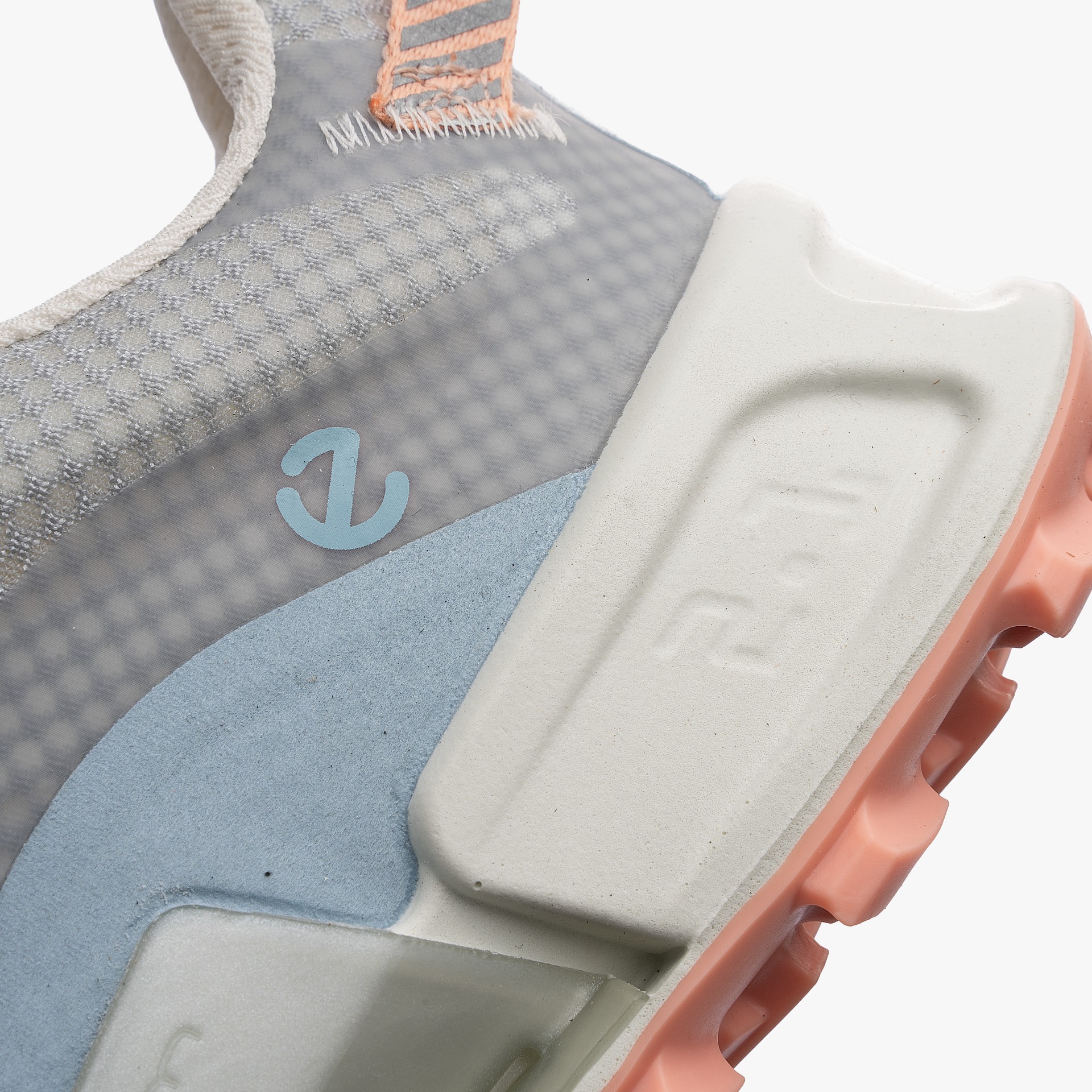 ECCO Biom 2.1 X MTN Low