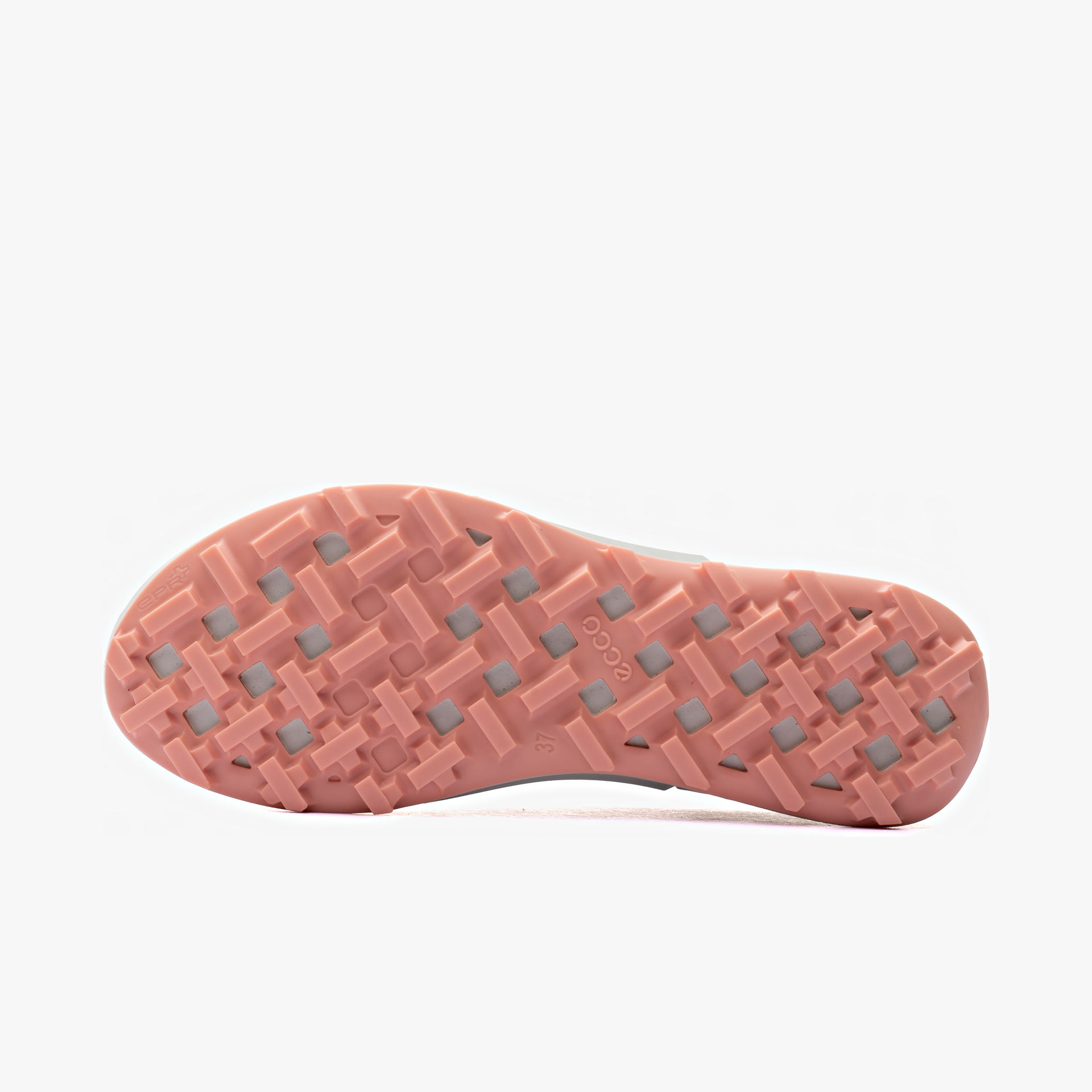 ECCO Biom 2.1 X MTN Low