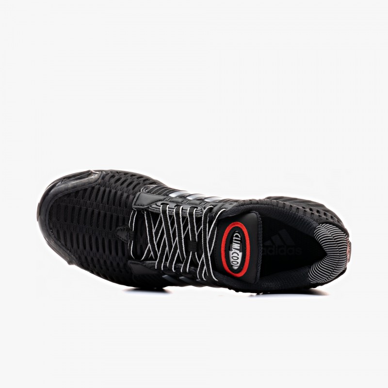 adidas Climacool 1 - IF6850 - Fuxia, Urban Tribes United