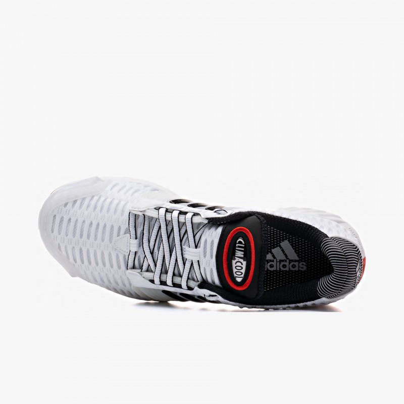 adidas Climacool 1 - IF6849 - Fuxia, Urban Tribes United