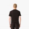 Lacoste Regular