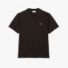 Lacoste Regular