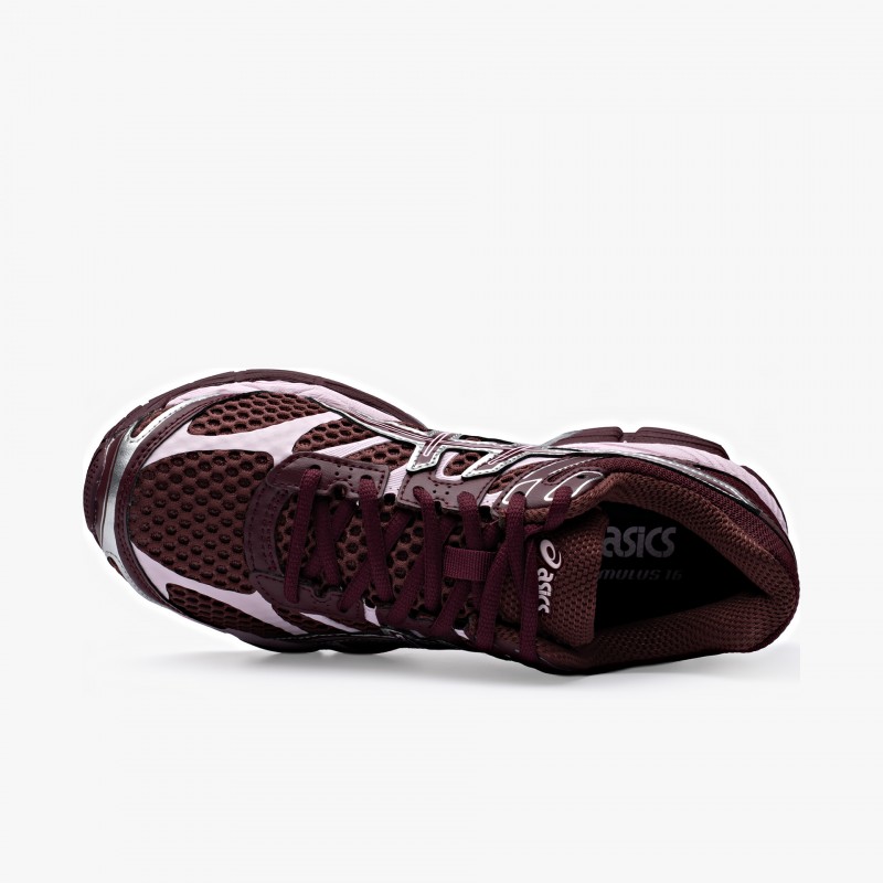 Asics Cumulus 16 - 1203A733 600 - Fuxia, Urban Tribes United