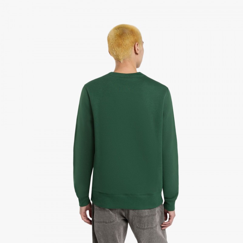 Dickies Oakport - DK0A4XCE PIN - Fuxia, Urban Tribes United