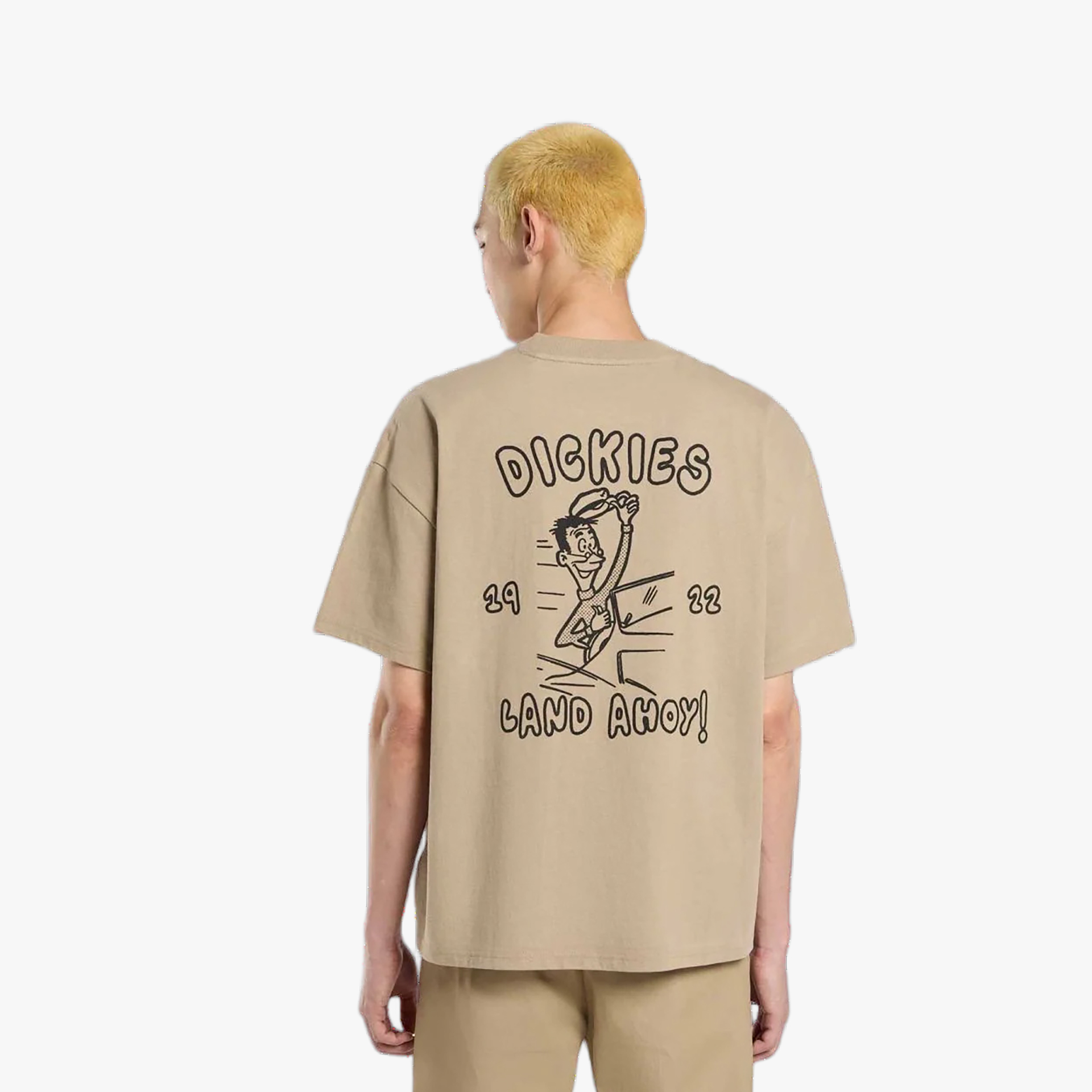 Dickies Decartuville