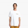 DC True North Lhss DC True North Lhss