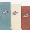 Dickies Valley Grove Pack 3
