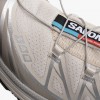 Salomon XT-6