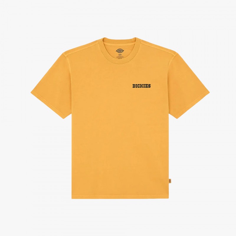 Dickies Darrtown - DK0A88QQ SOR - Fuxia, Urban Tribes United