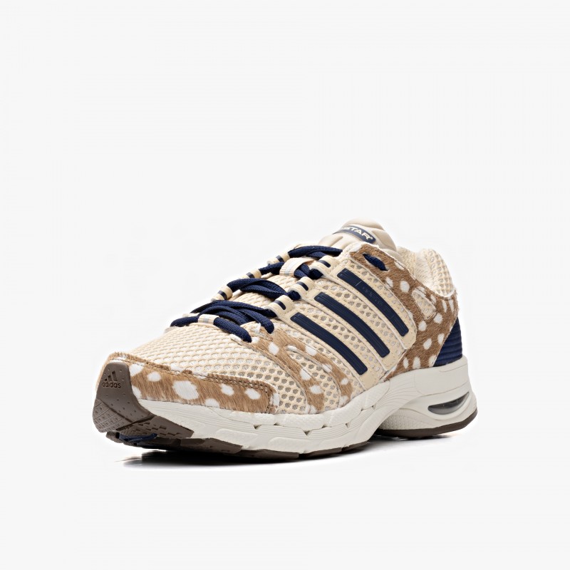 adidas Adistar Control 5 W adidas Adistar Control 5 W - KH9247 - Fuxia, Urban Tribes United