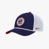 Nike MLB Chicago Cubs