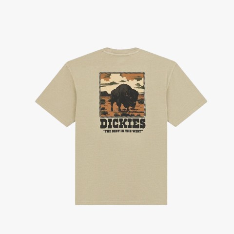 Dickies Darrtown