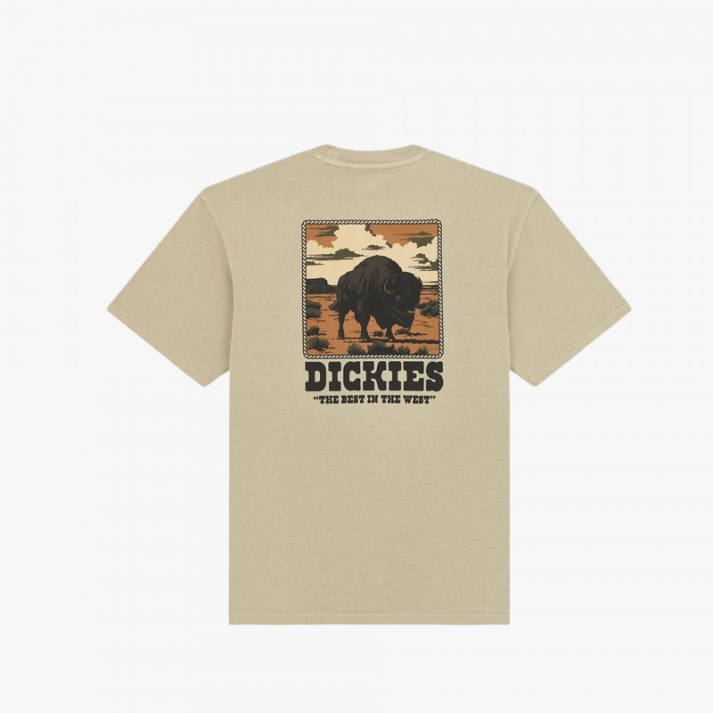 Dickies Darrtown - DK0A88QQ L44 - Fuxia, Urban Tribes United