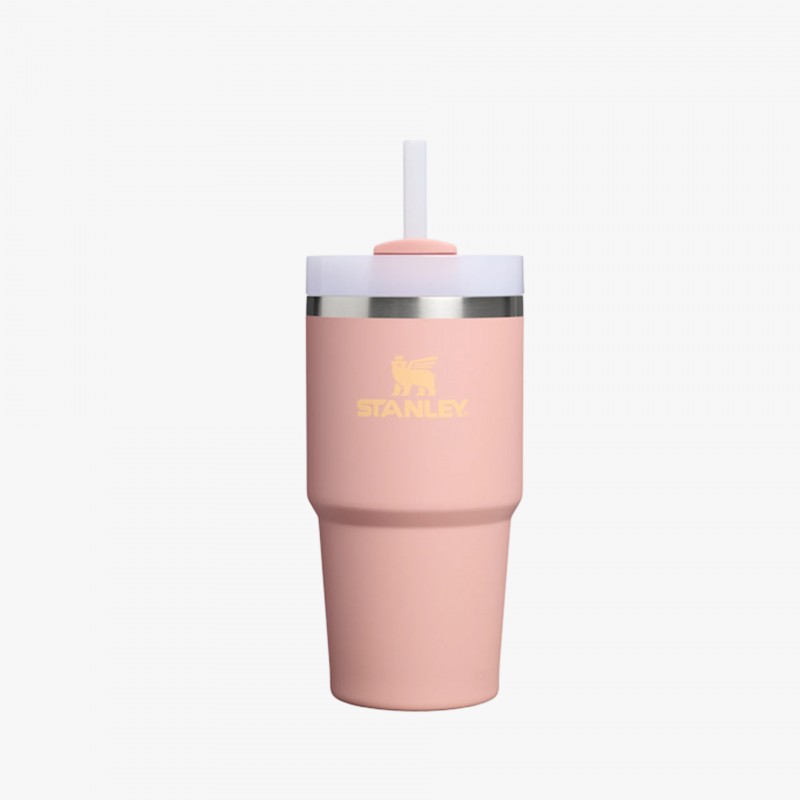Stanley Quencher H2.0 FlowState Tumbler 0.59L Stanley Quencher H2.0 FlowState Tumbler 0.59L - 10 21041 0077 - Fuxia, Urban Tribes United