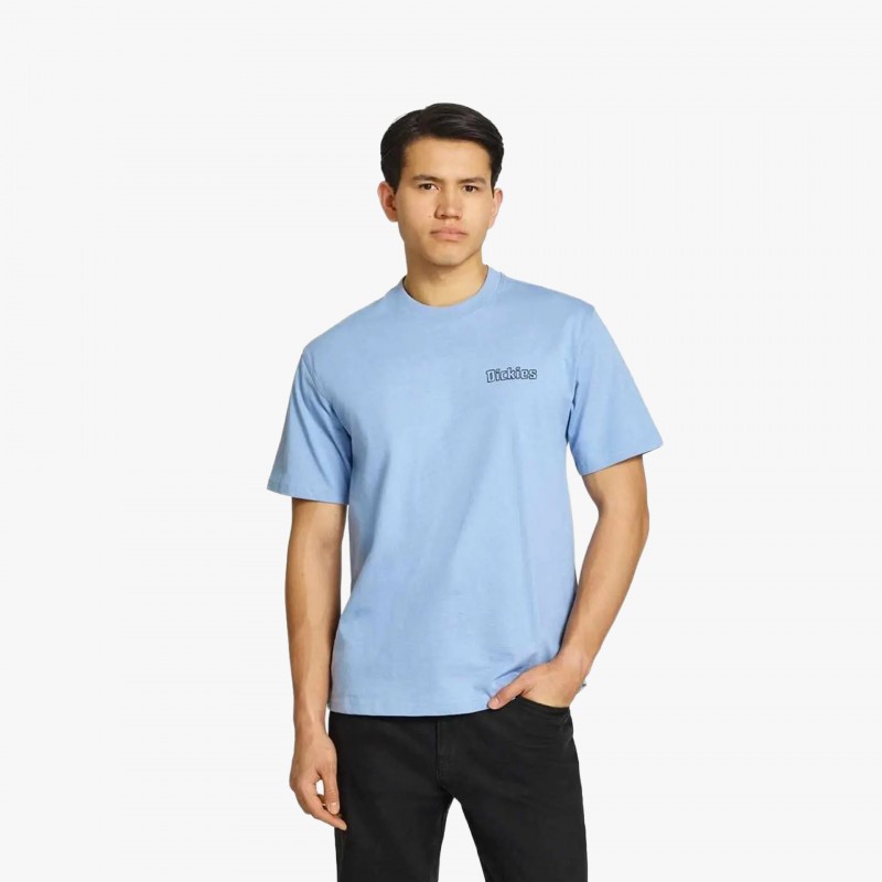 Dickies Fairlawn - DK0A88GE L39 - Fuxia, Urban Tribes United