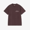 Castanho