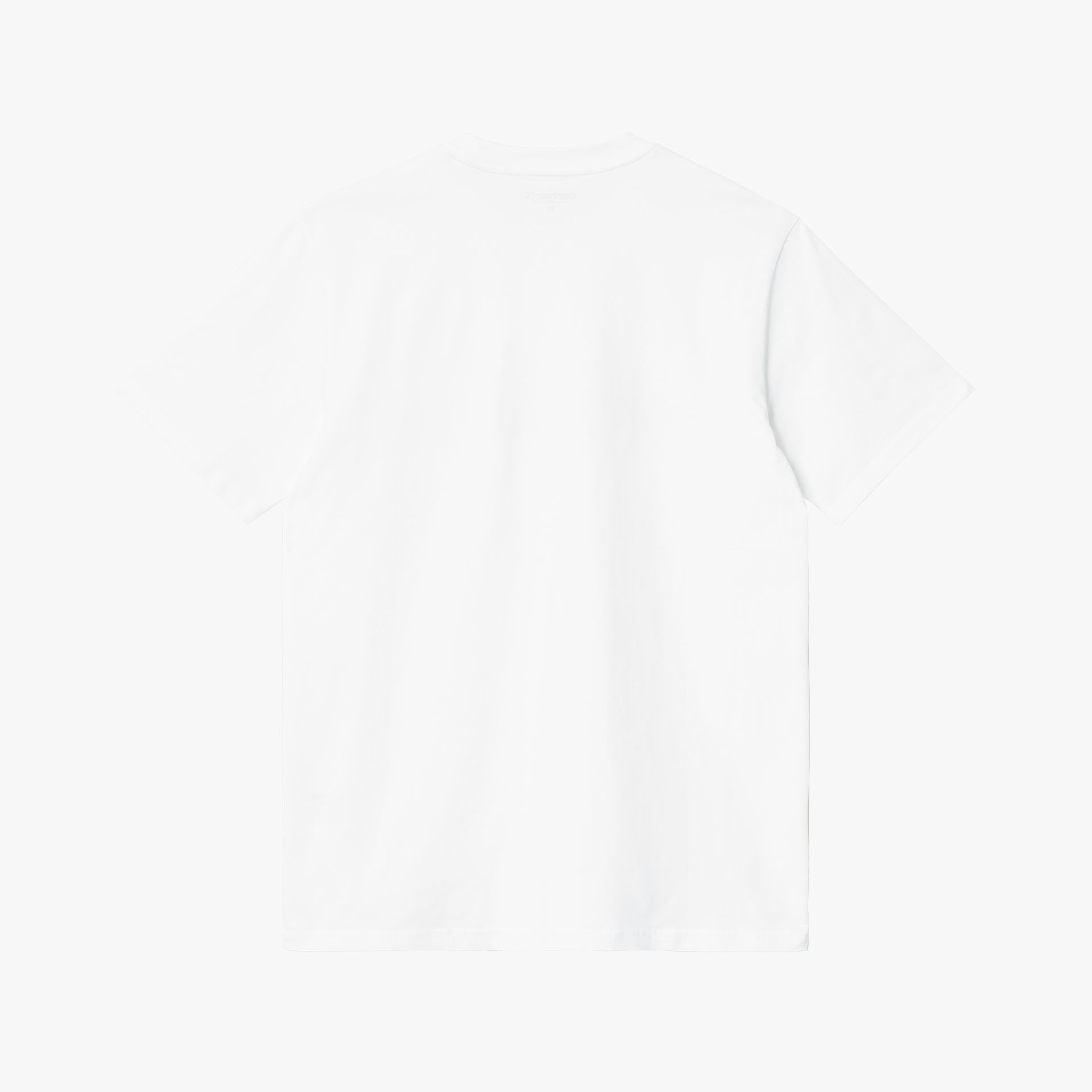 Carhartt WIP Script
