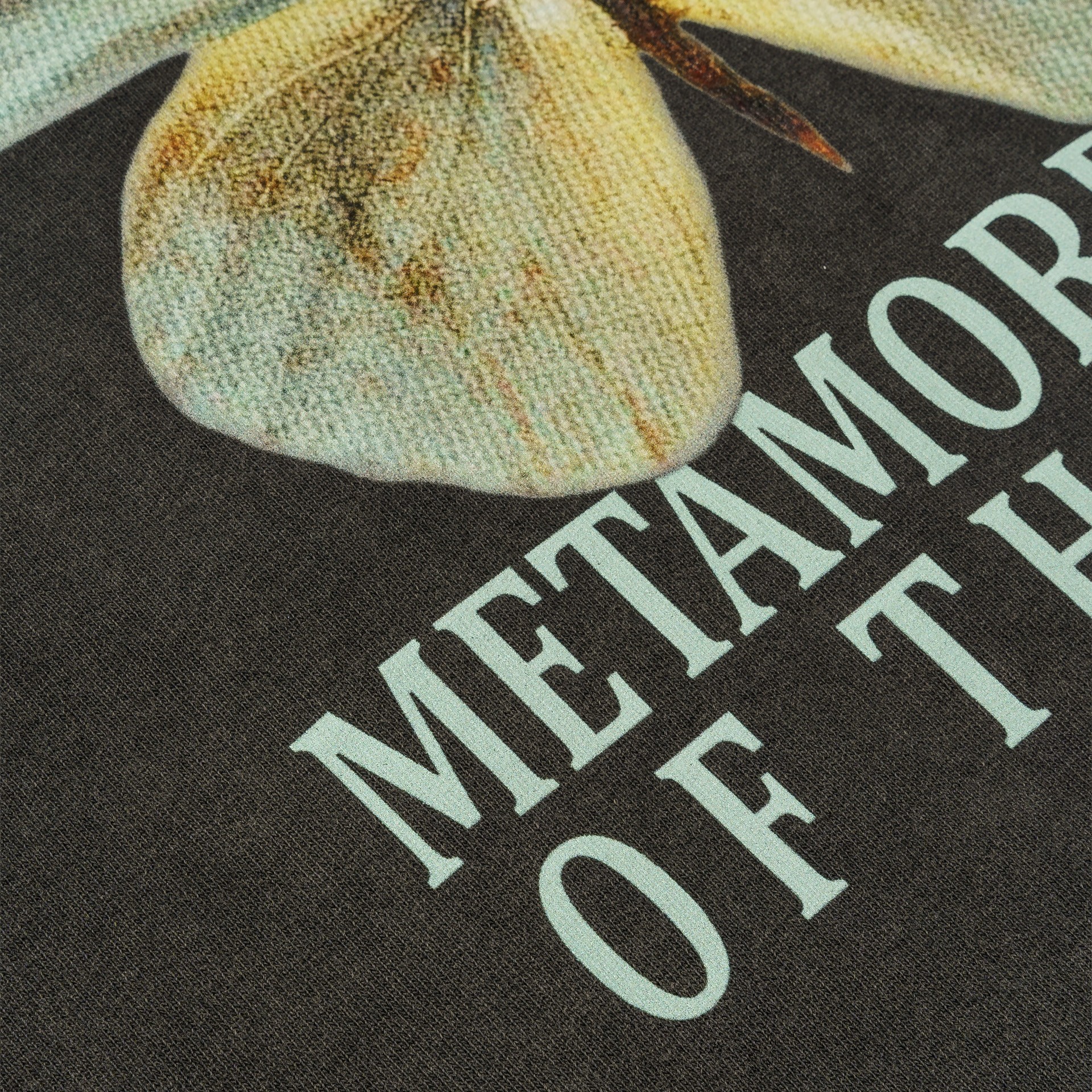 FUXIA Metamorphosis