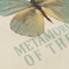FUXIA Metamorphosis FUXIA Metamorphosis